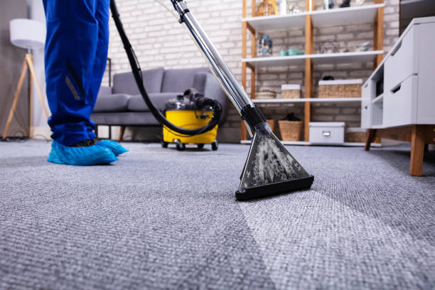 professional carpet cleaning services