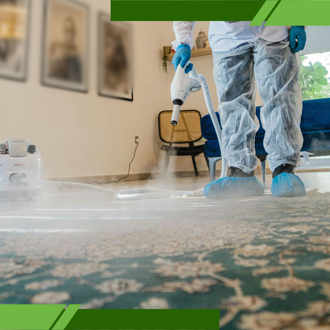 home allergen removal guide