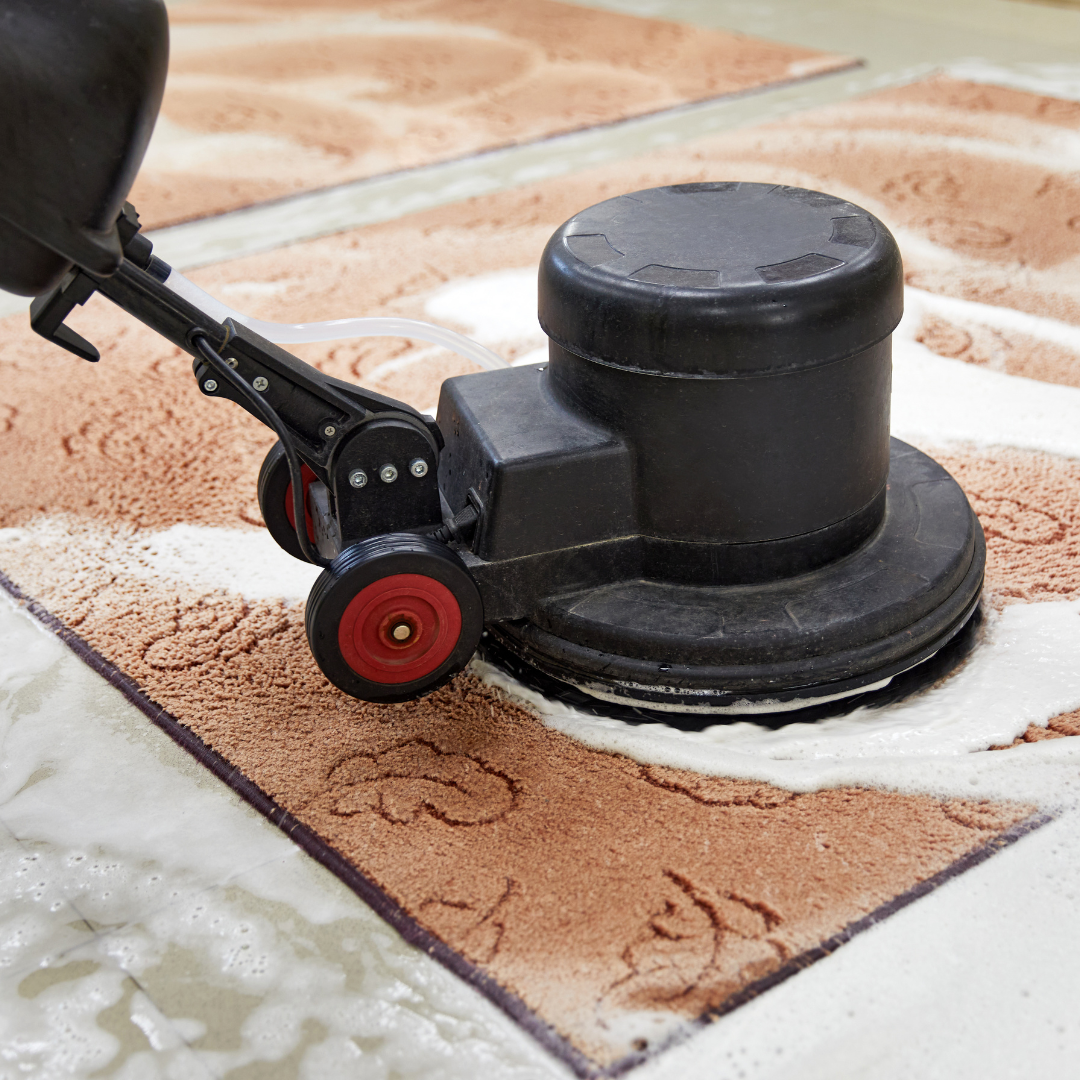 Rug Cleaning Agoura Hills